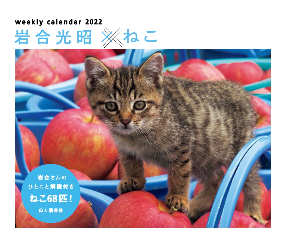 岩合光昭×ねこカレンダー（2022）（［カレンダー］）